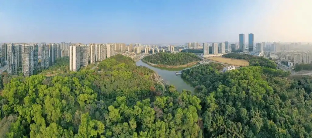 “三進三同”攜手共進，江門站助力區縣監測見成效