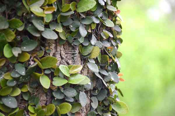 全國已建成“兩級、三類、一清單”的生態環境分區管控體系 