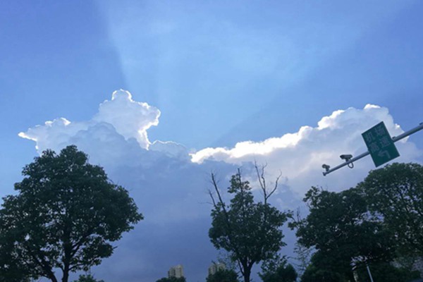 安徽臭氧防控的科技逆襲：走航監測精準狙擊，污染天數驟降近三成！