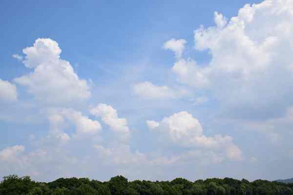 精準“削峰”戰臭氧，全力守護“瓷都藍”